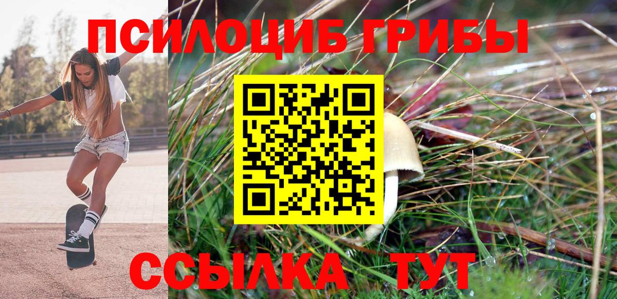 Галлюциногенные грибы MAGIC MUSHROOMS Тосно