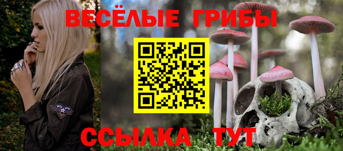 Тосно  Галлюциногенные грибы Magic Shrooms  Вход с VPN 